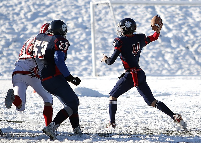 手的榜样 手的榜样