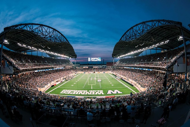 全能属性 全能属性