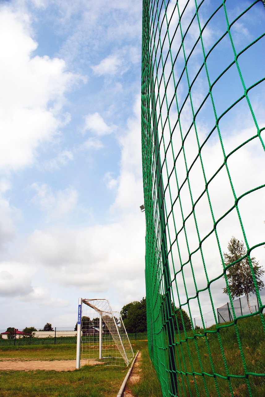 这对法蒂而 这对法蒂而