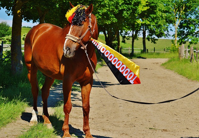 哈登的比赛 哈登的比赛