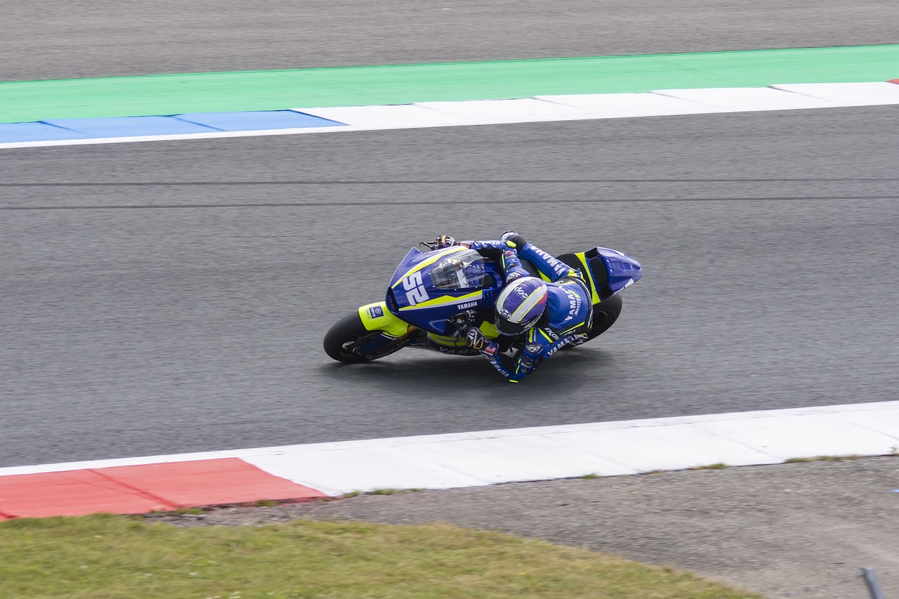 适应能力和 适应能力和