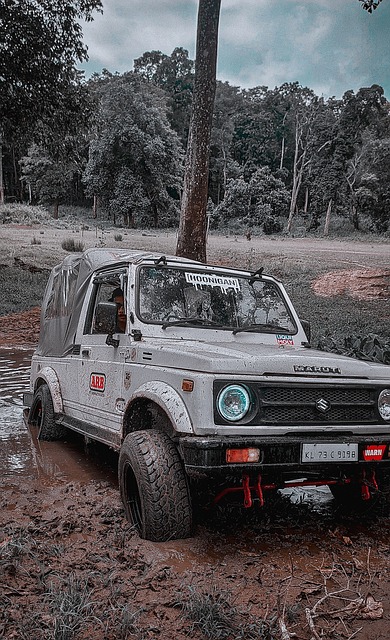 [排球]北京北汽男排不敌南京队.